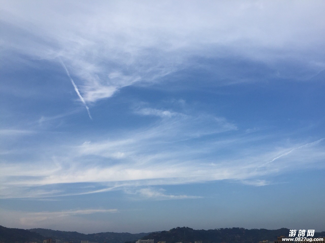 20180530180074152769589387763.jpg
