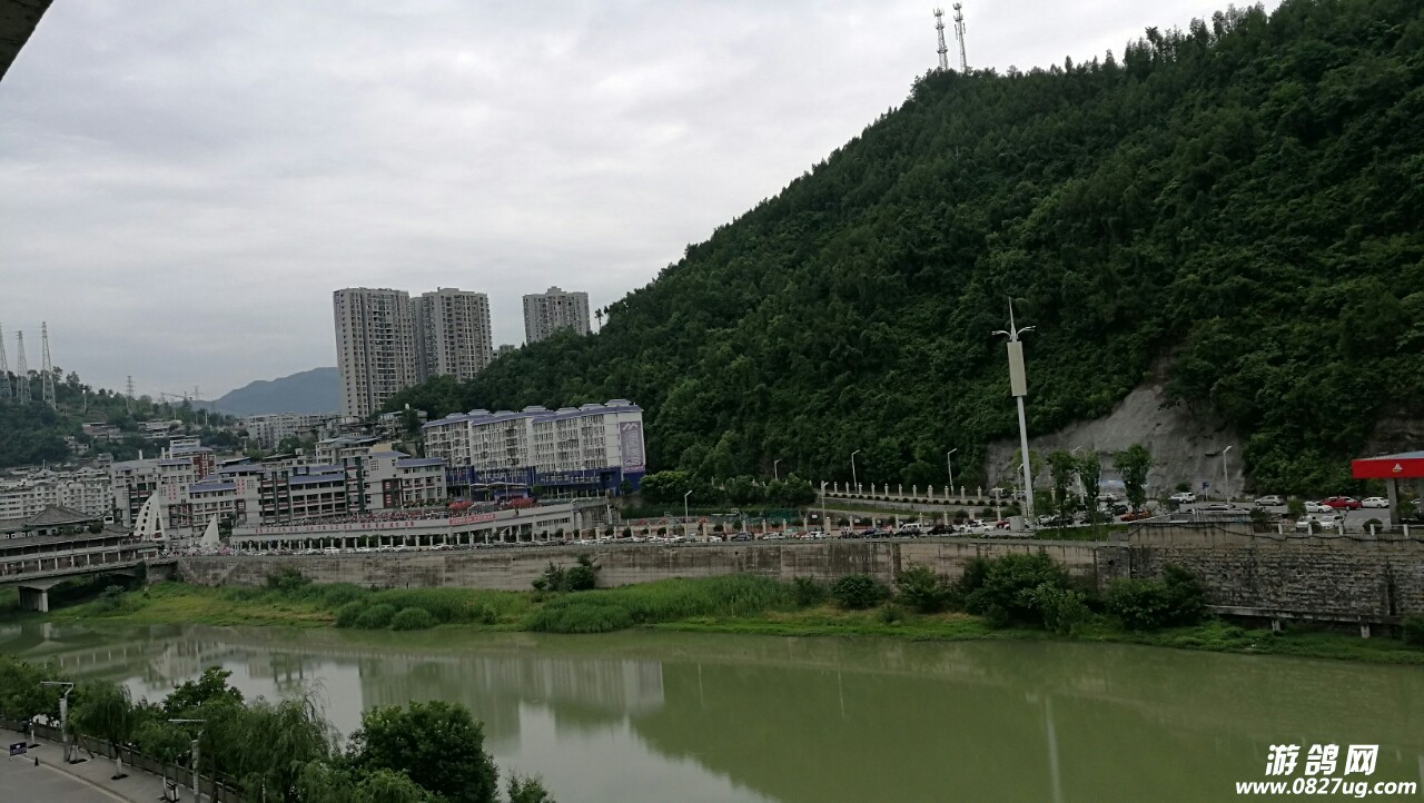20180601_168269_1527822750142.jpg
