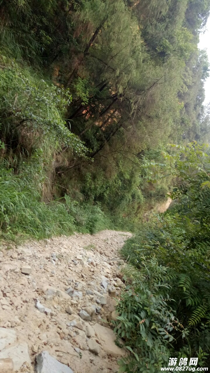 20180615_141867_1529016020935.jpg