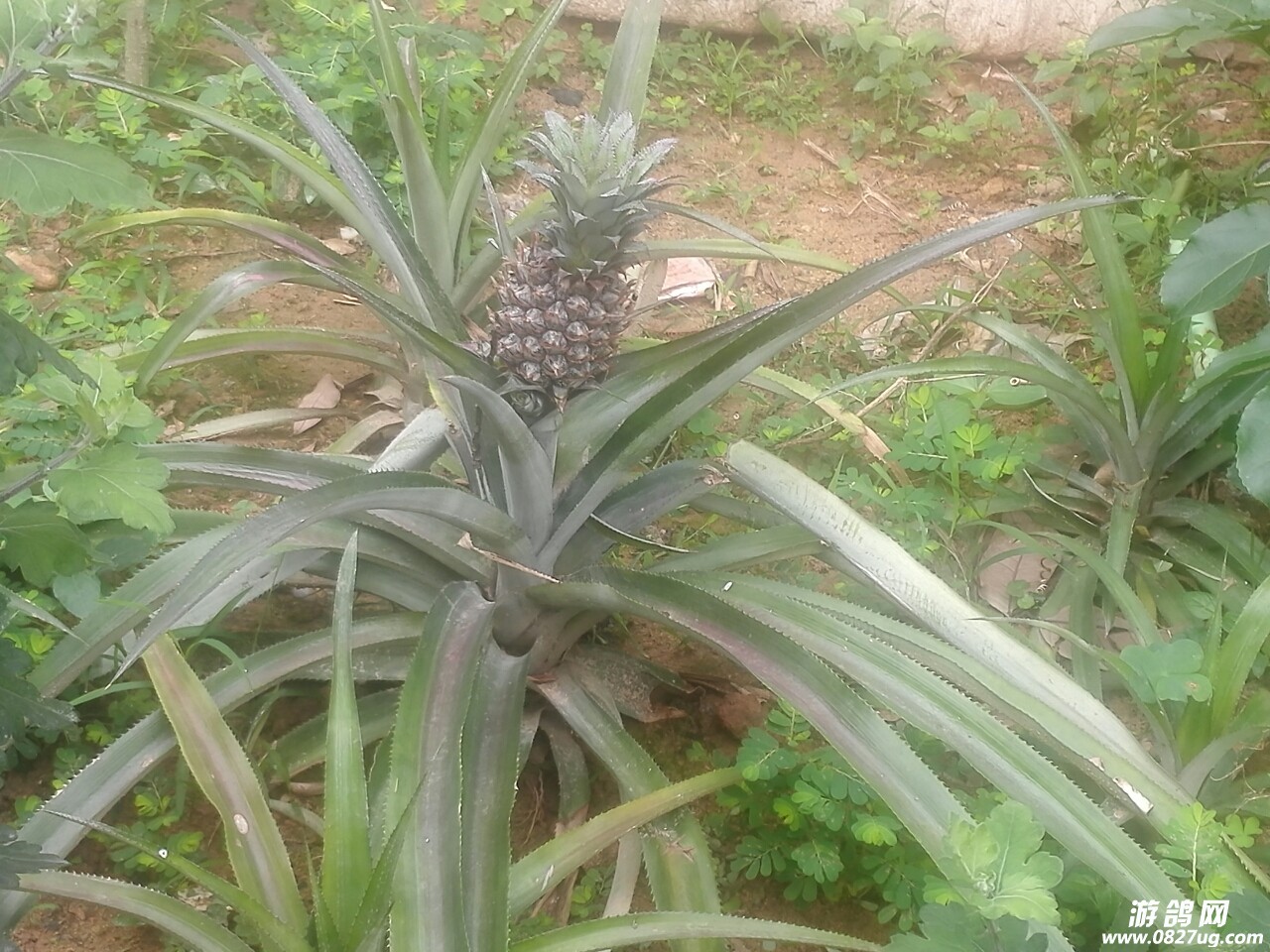 20180616_143938_1529115079580.jpg