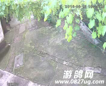 20180618_188038_1529336364262.jpg