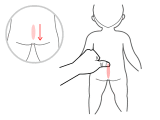 12.gif