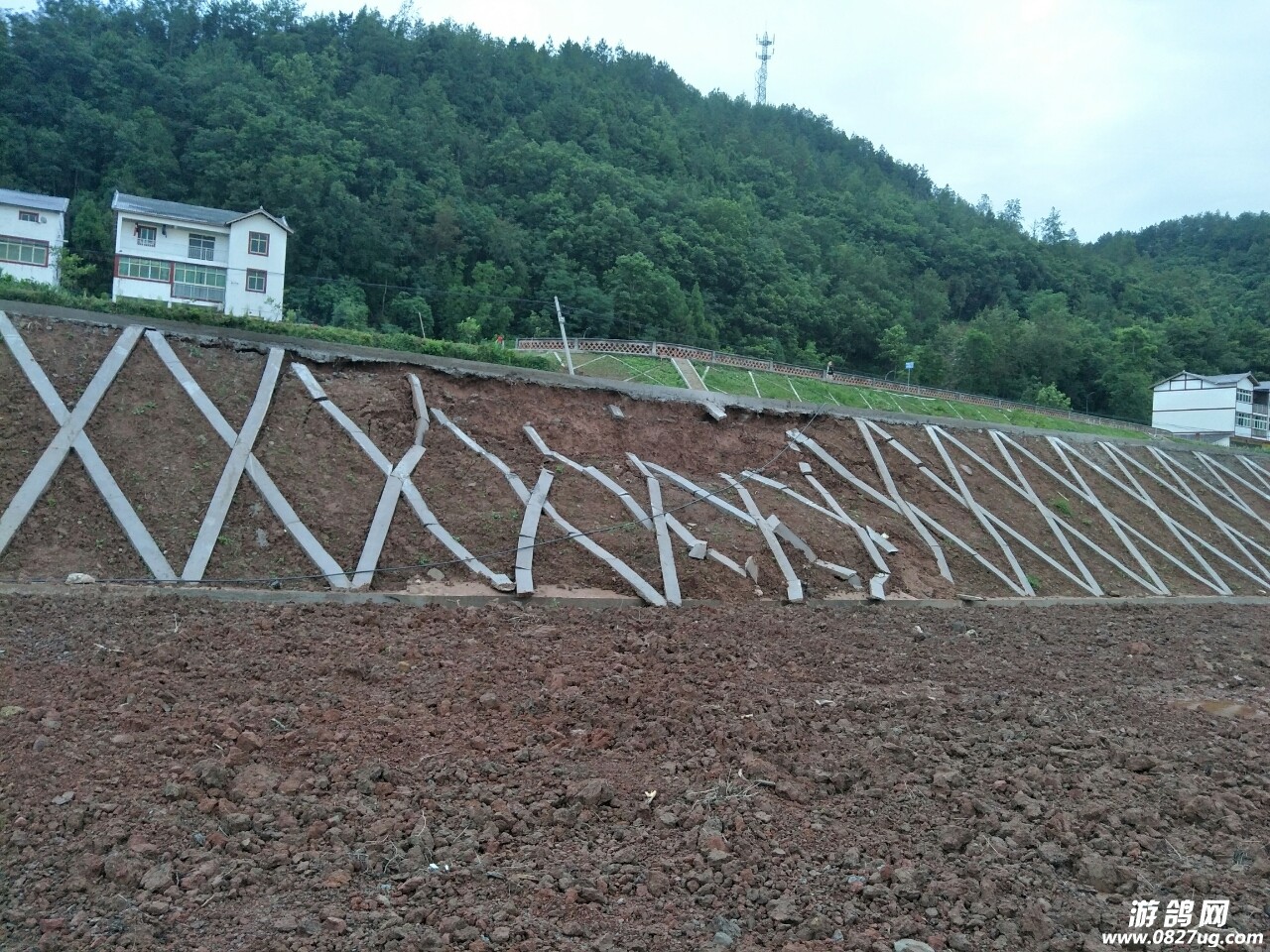 20180622_190654_1529639105242.jpg