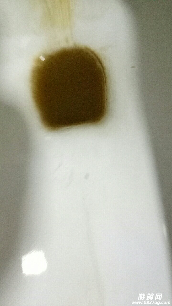 20180624_127549_1529796848641.jpg