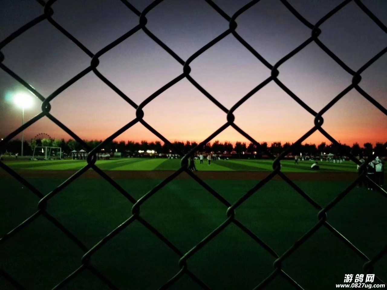 20180624_190325_1529830104929.jpg