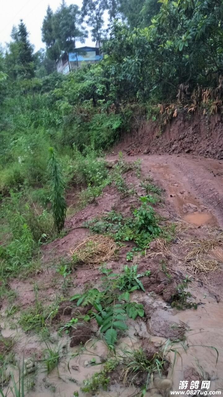 20180704_199917_1530667321639.jpg