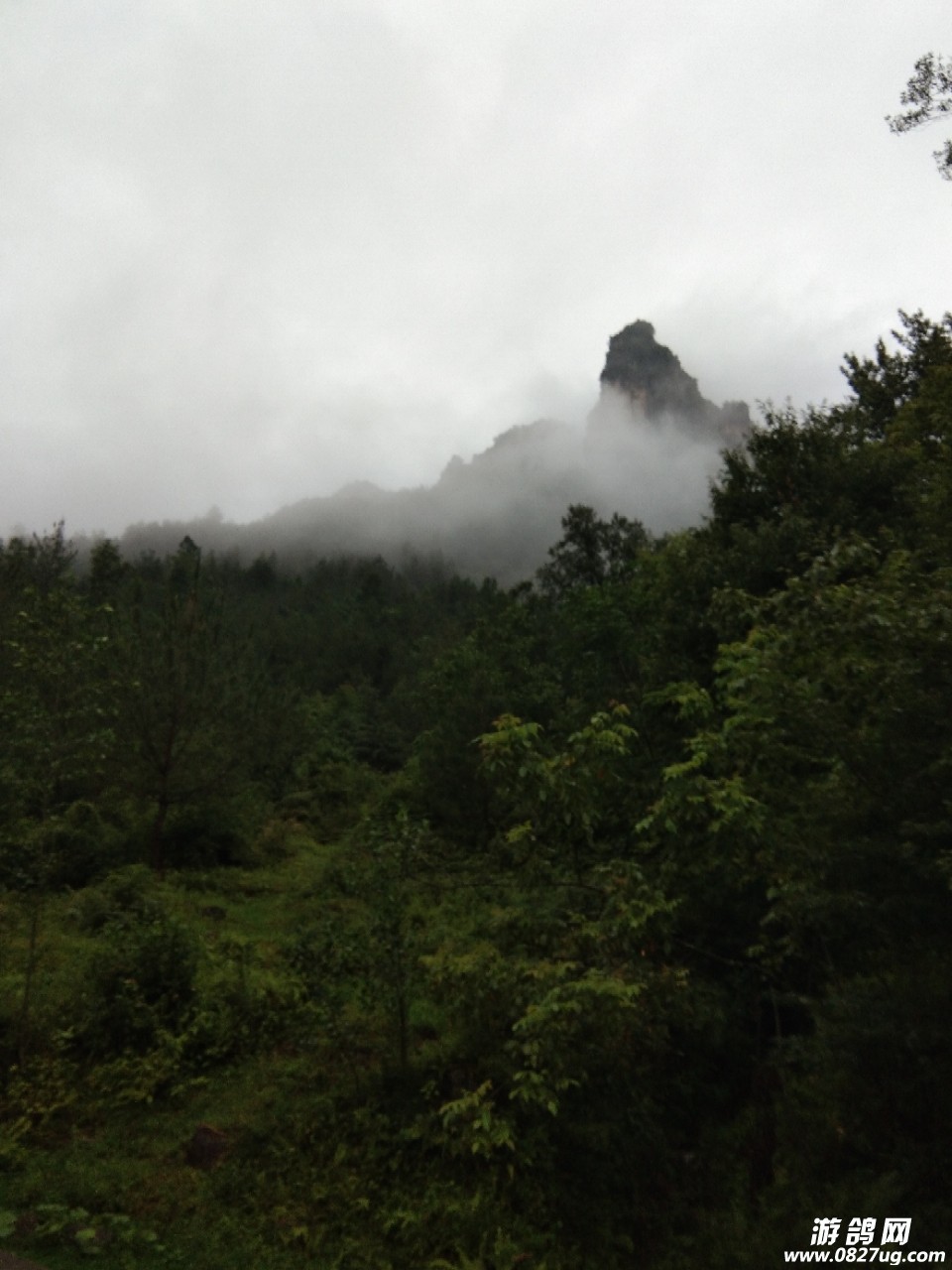 20180710_144568_1531174750907.jpg
