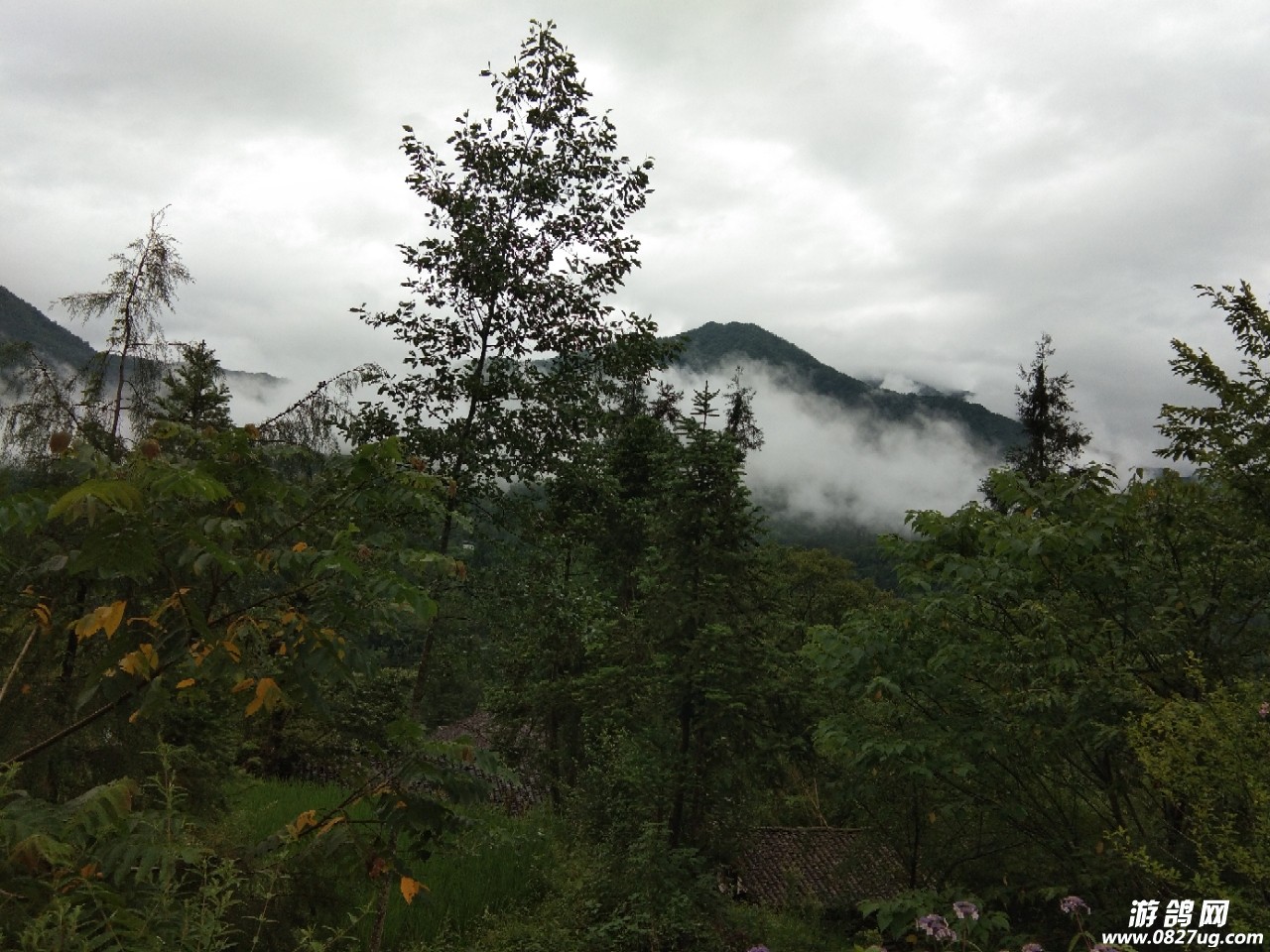 20180710_144568_1531174751421.jpg