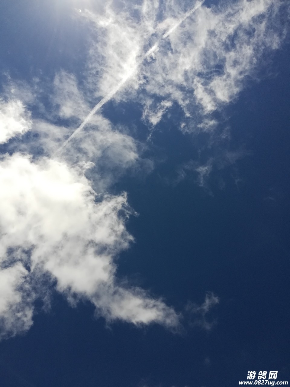20180717_132195_1531785383863.jpg