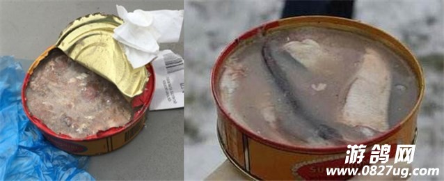 9_.jpg