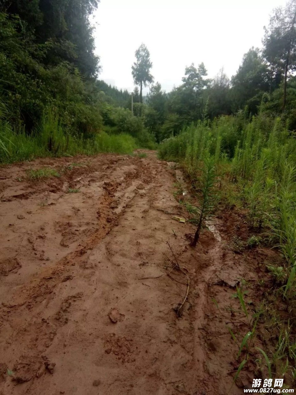 20180722_142330_1532275155696.jpg
