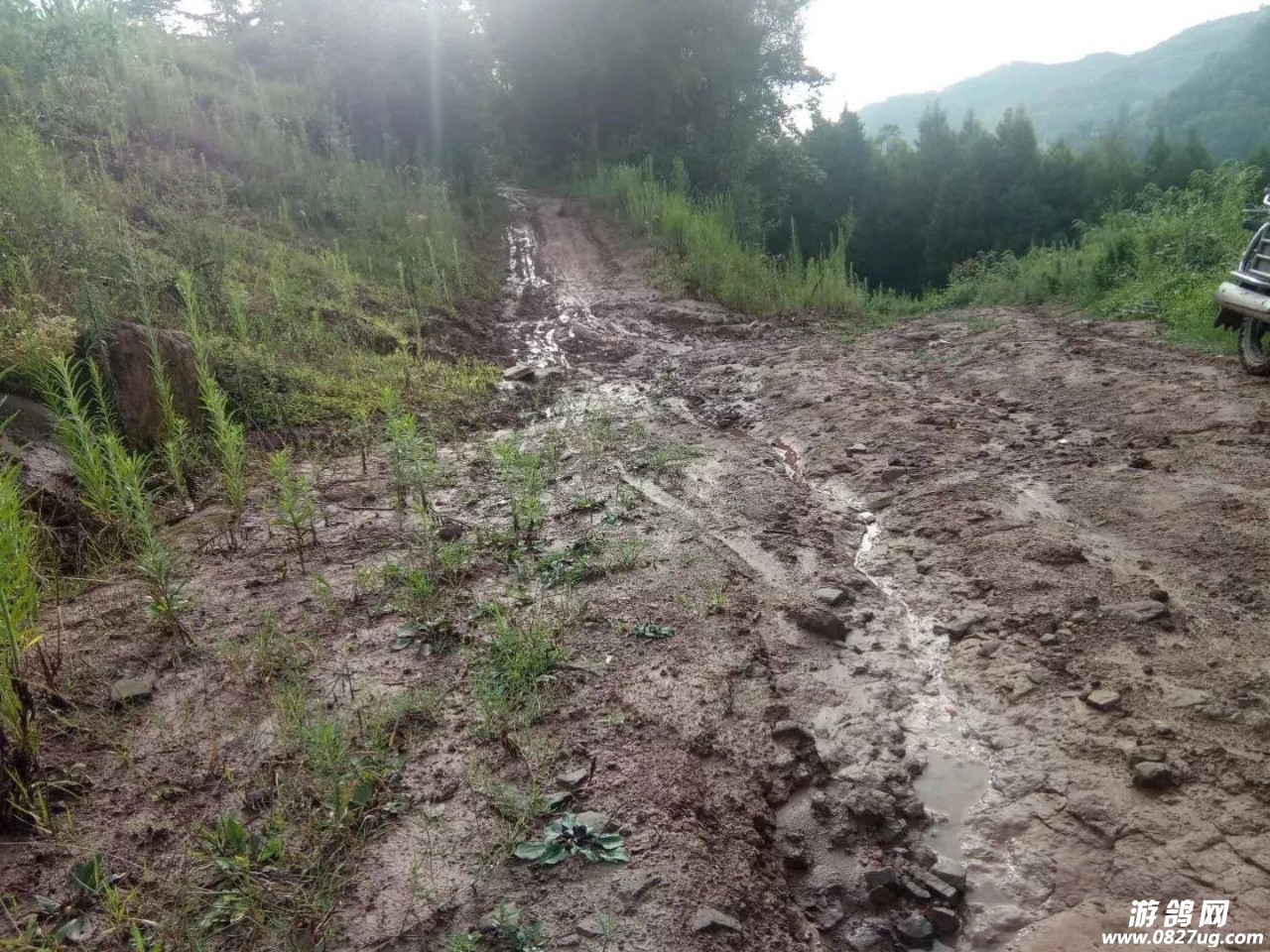 20180722_142330_1532275155894.jpg