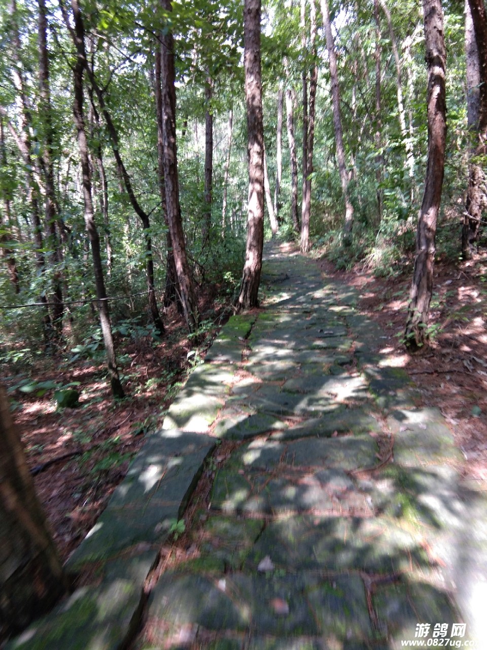 20180803_144568_1533275336118.jpg