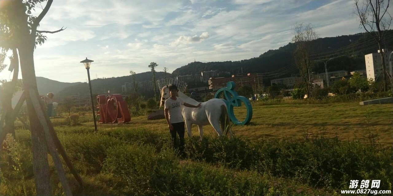 20180818_178409_1534603601043.jpg