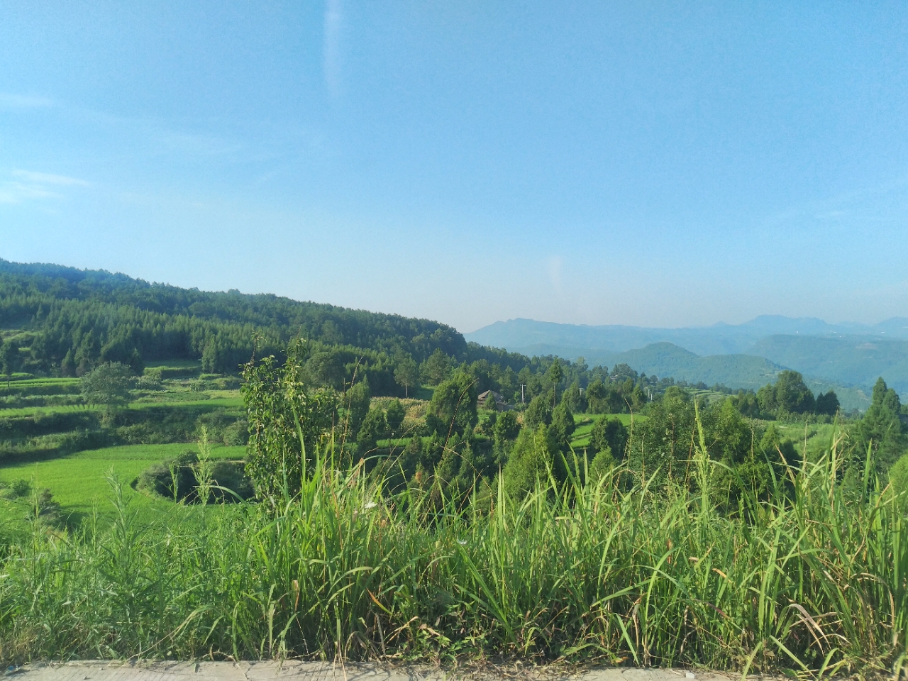 20180819_139867_1534684331936.jpg