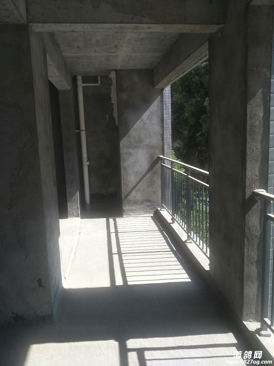 20180828_130767_1535447659601.jpg