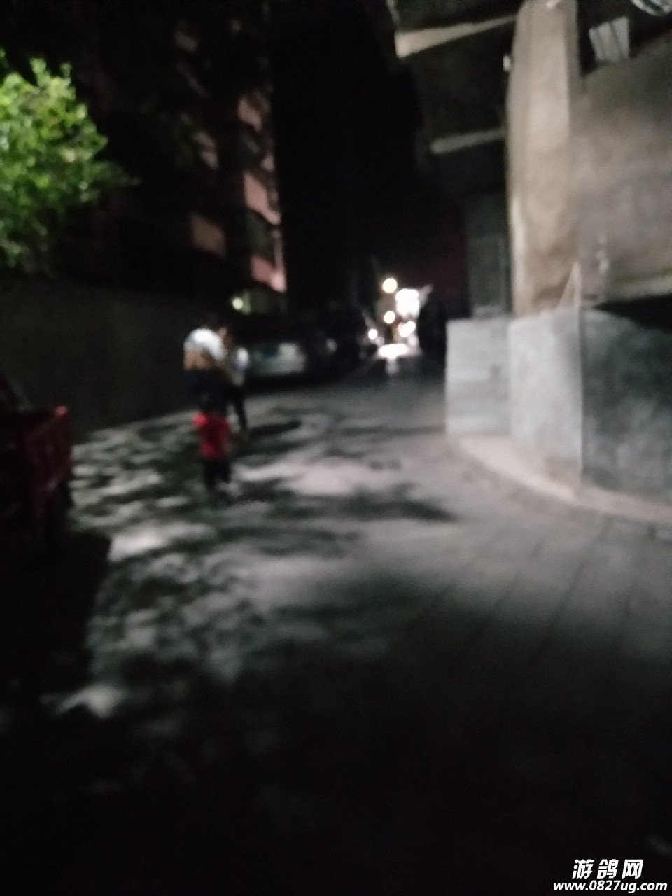 20180902_204351_1535895869580.jpg