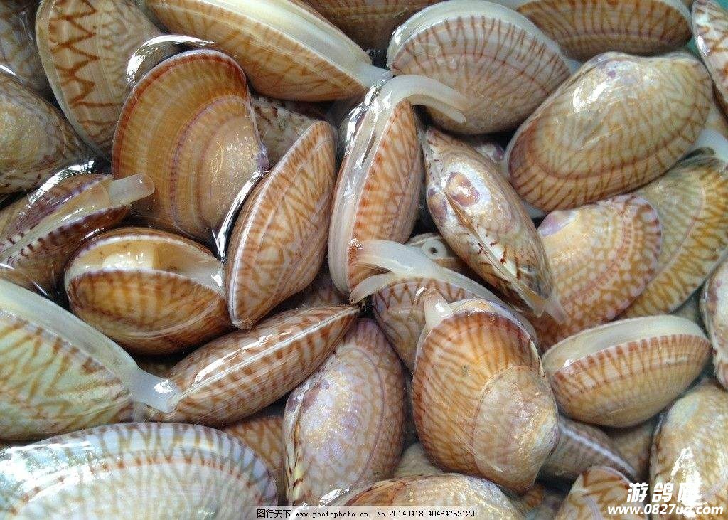 南江县青青水产