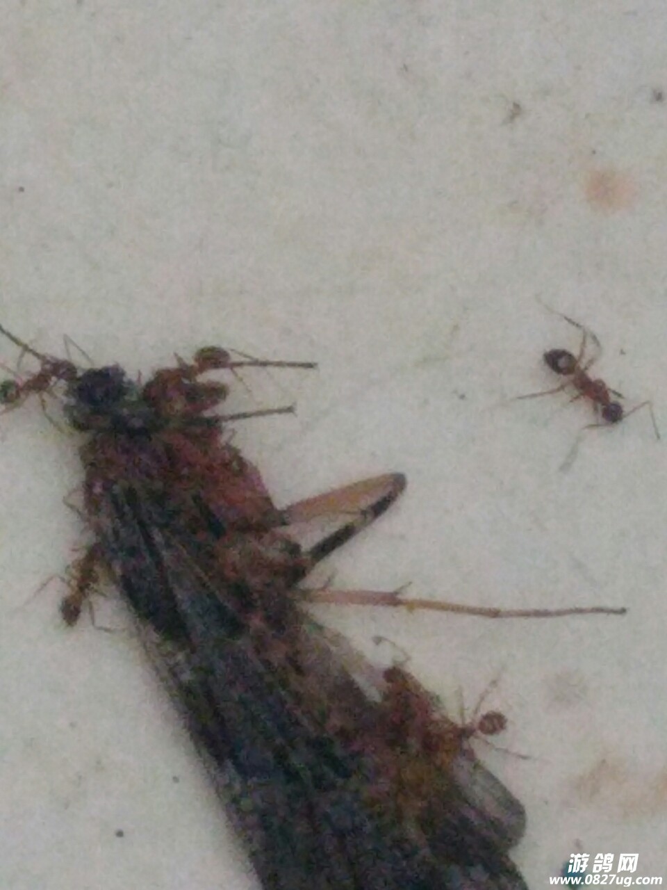 20180929_181106_1538199455153.jpg