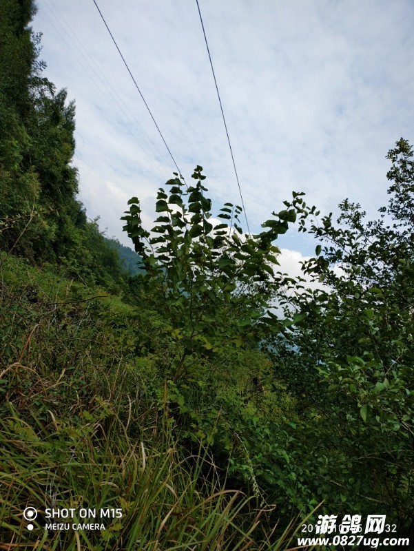 P81005-143244(1).jpg