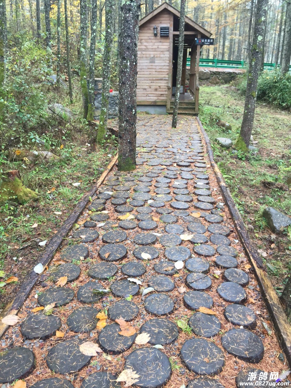 20181021183324154007992126618.jpg