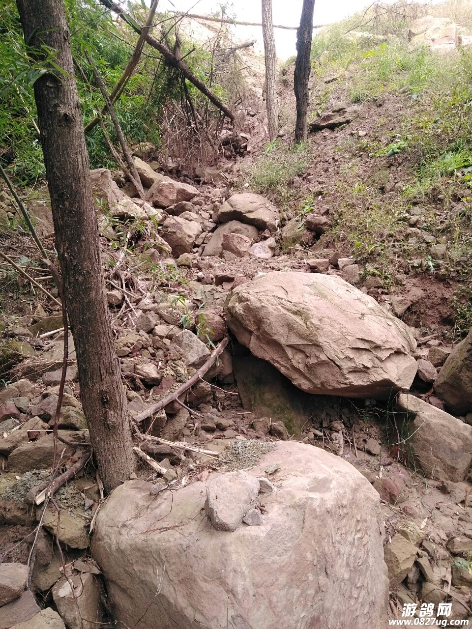 20181022_205937_1540191778976.jpg