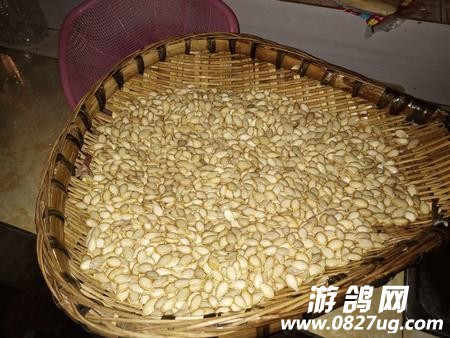 微信图片_20181023111529.jpg