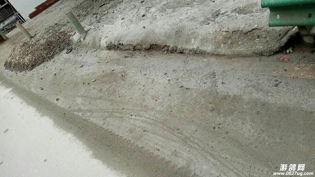 20181024_134066_1540360608942.jpg