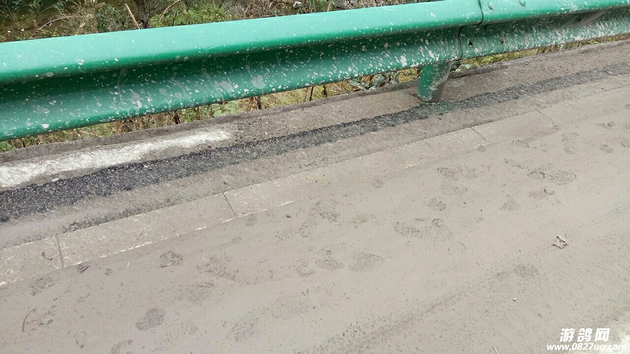 20181024_134066_1540360609374.jpg
