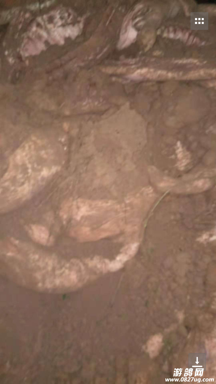 20181029_143059_1540819703754.png