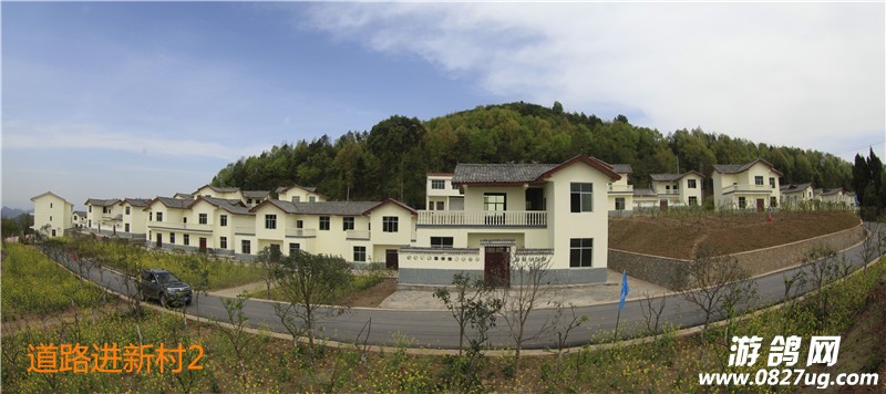 道路进新村2.jpg
