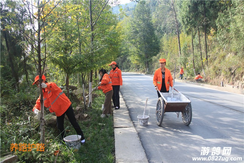 养路护路.jpg