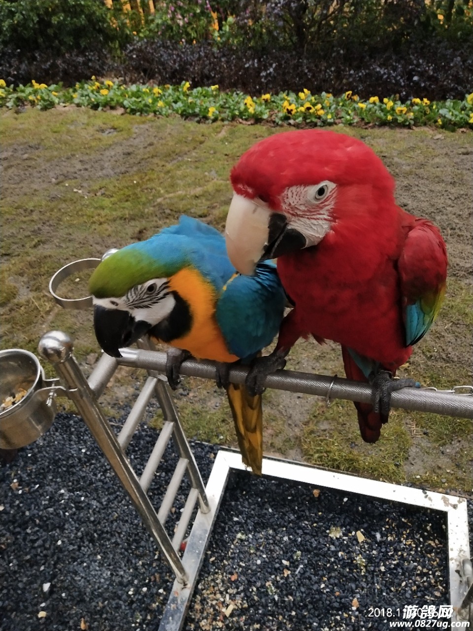 20181130_58082_1543573097567.jpg