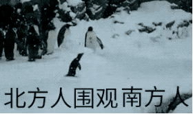 微信图片_20181207105031.gif