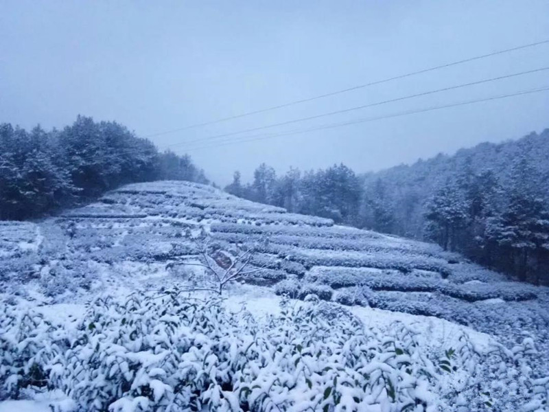 微信图片_20181207104333.jpg