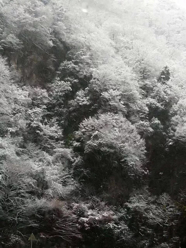微信图片_20181207104350.jpg
