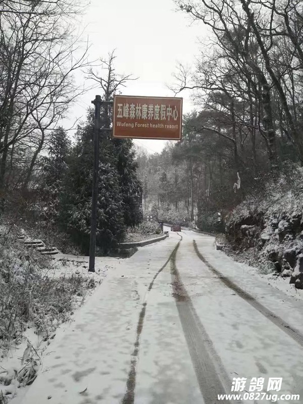 微信图片_20181207110539.jpg