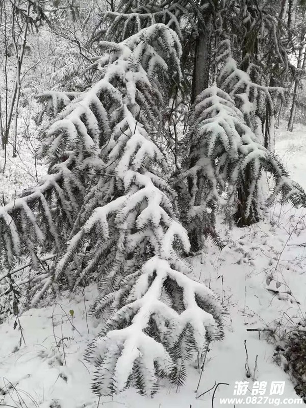 微信图片_20181207110602.jpg