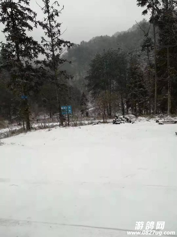 微信图片_20181207110606.jpg