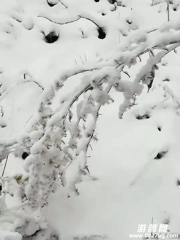 微信图片_20181207110615.jpg