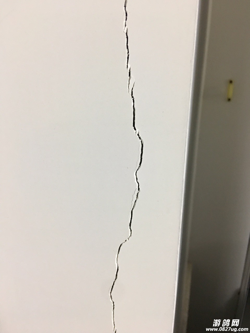 201901111987271547217518932345.jpg