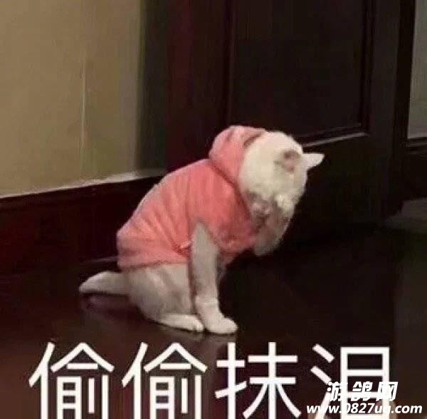 ΢ͼƬ_20190120112844.jpg