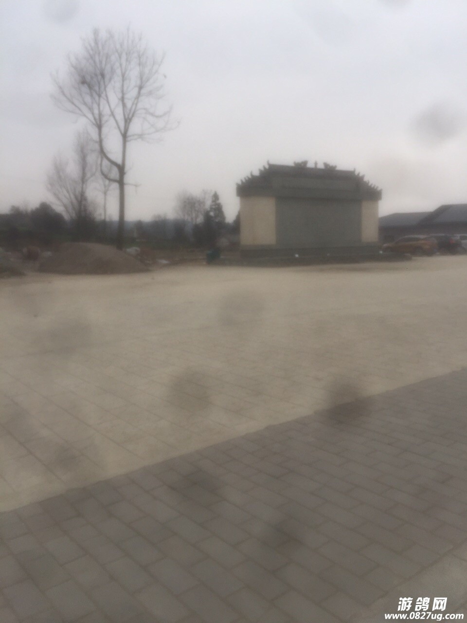 201902141749161550077713473112.jpg