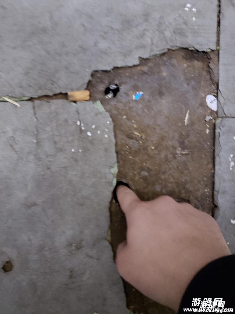 20190223_186226_1550896248298.jpg