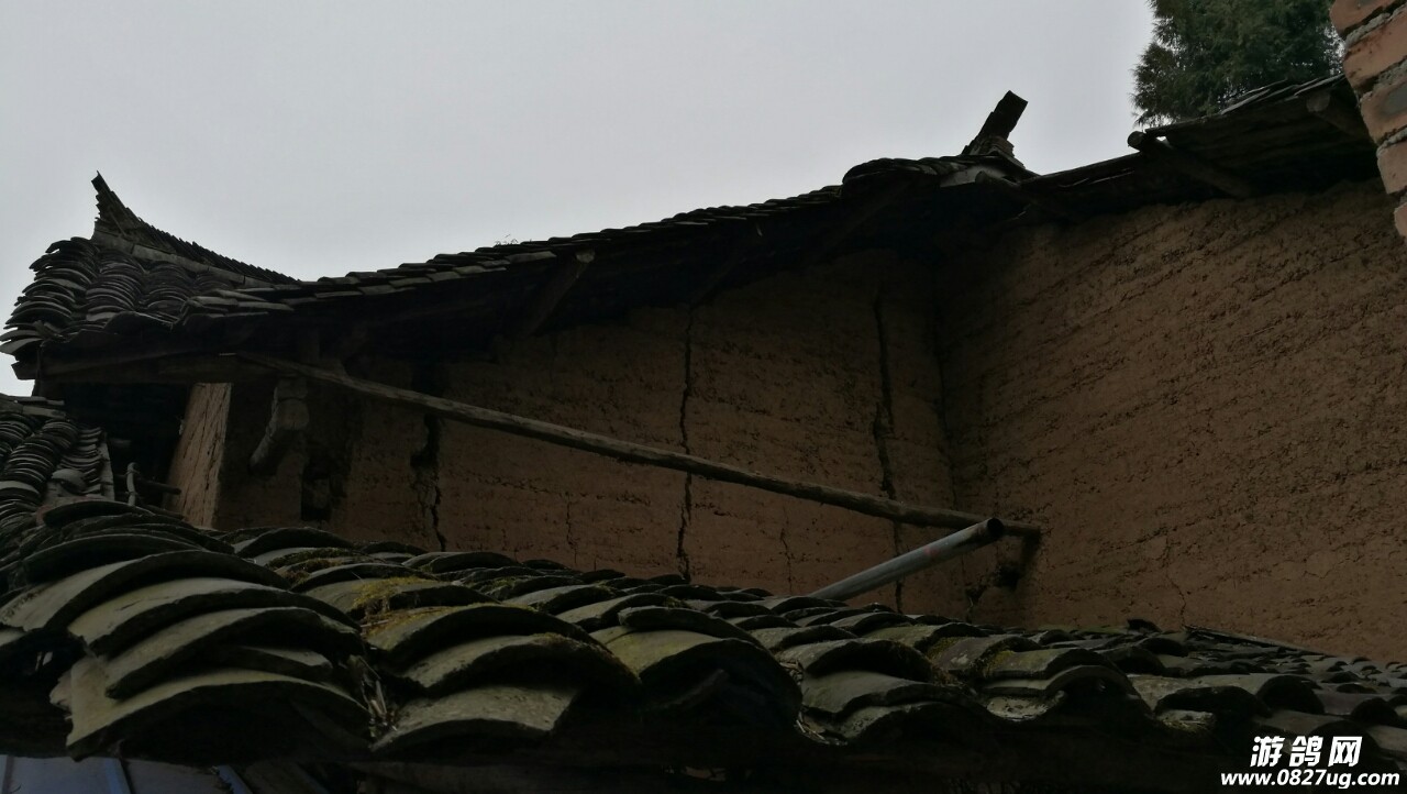 20190224_168269_1550979714281.jpg
