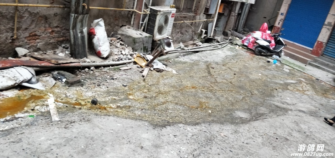 20190301_190094_1551413253557.jpg