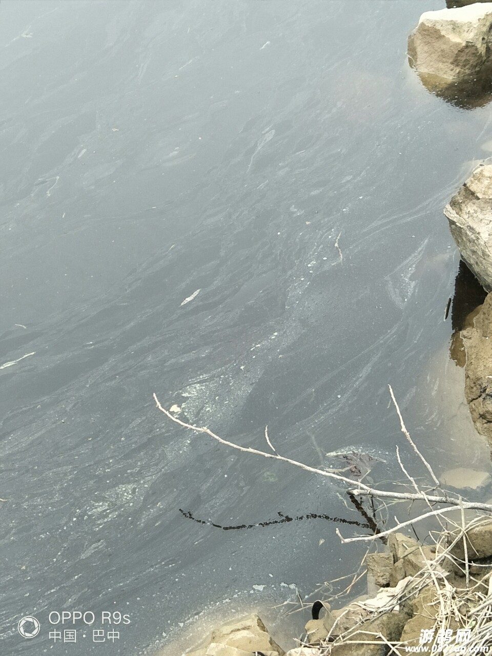 20190304_181280_1551687518285.jpg