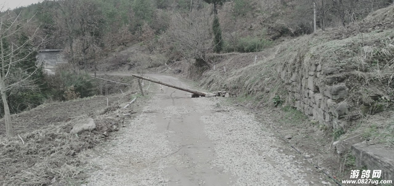 20190305_178919_1551764627860.jpg