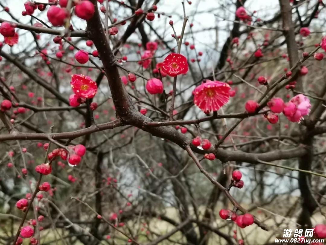 ΢ͼƬ_201903060957308.jpg