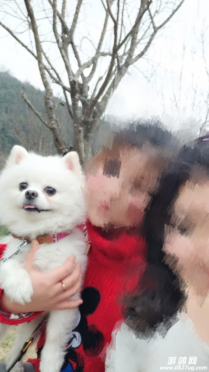 20190309_210839_1552102983297.jpg